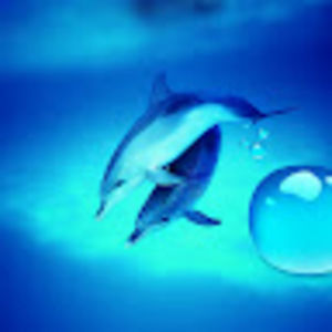 Meet your Posher, Connie